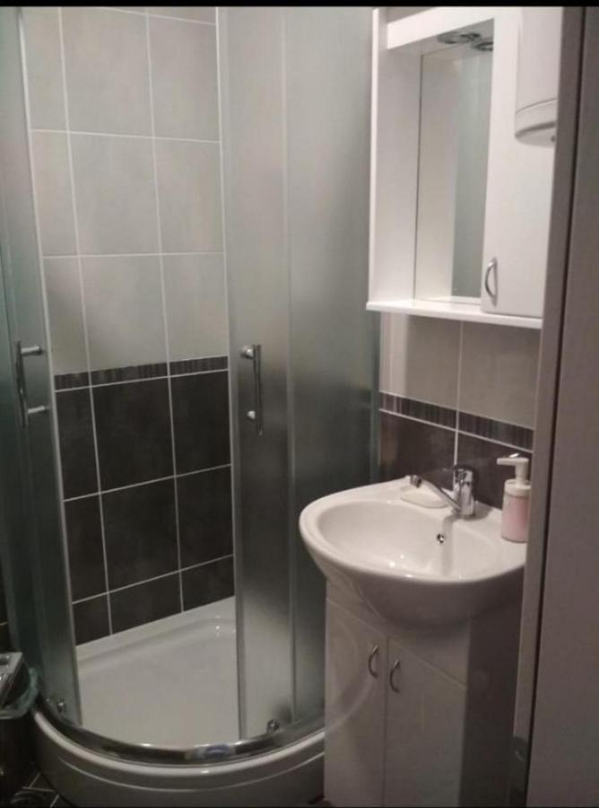 Talija Apartman Apartment Vrnjacka Banja Bagian luar foto